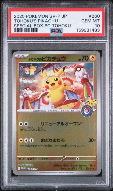 本日の入荷速報！