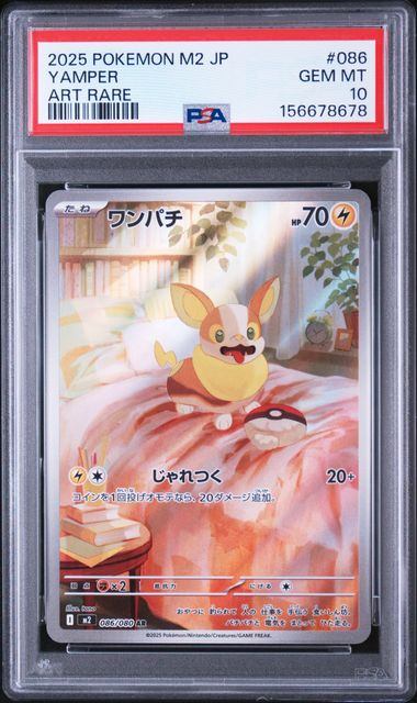 【PSA10鑑定品】ワンパチ[086/080][AR][M2]【156678678/実物写真掲載】