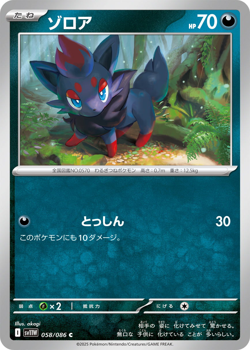 【状態B】ゾロア[058/086][C][SV11W]