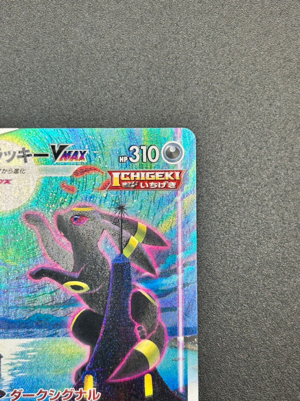 状態A】ブラッキーVMAX[095/069][HR/SA][S6a]【実物写真掲載】【管理