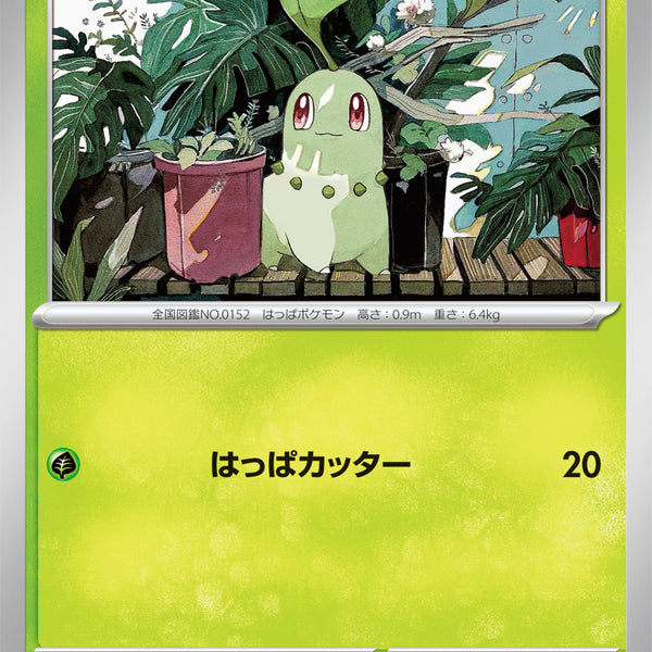 ポケモン - Cirty　二口 41XlemFoTkL.jpg_BO30,255,255,