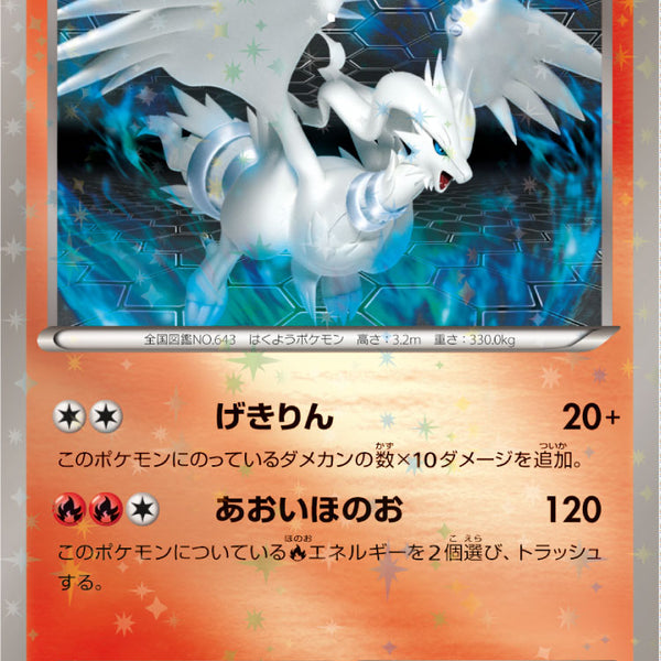 ふ*ぅ様 ジムチャレンジ　プロモ　BW-P 213bwp-eevee-promo-w150.jpg