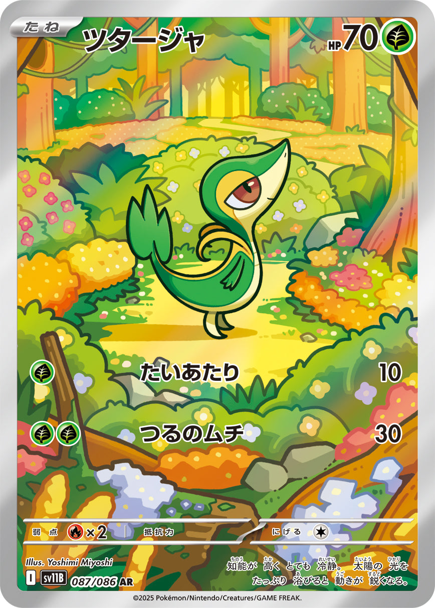 【状態A】ツタージャ[087/086][AR][SV11B]