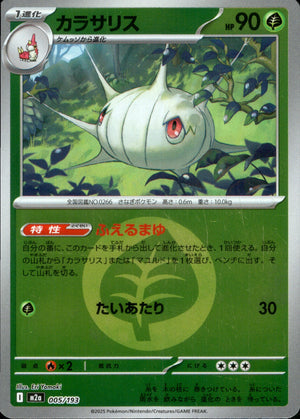 【状態B】カラサリス(タイプミラー)[005/193][-][M2a]