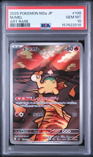 【PSA10鑑定品】ドンメル[198/193][AR][M2a]【157622018/実物写真掲載】
