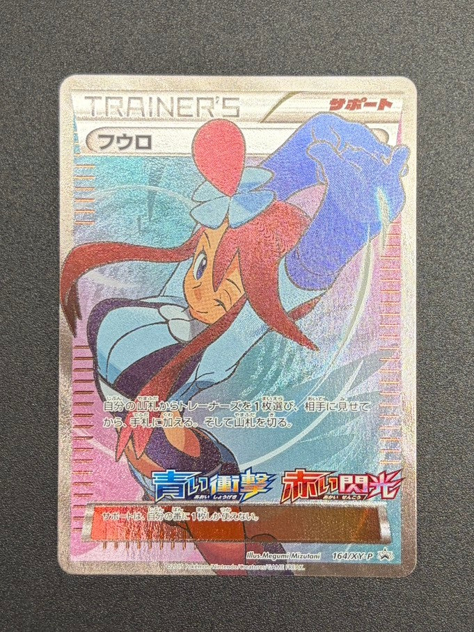 本日の入荷速報！