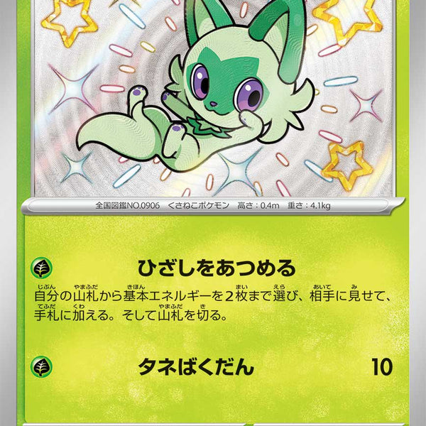 AR ニャオハ　ニャローテ　各10枚　合計20枚セット ポケモンカード ニャオハ ニャローテ AR - メルカリ