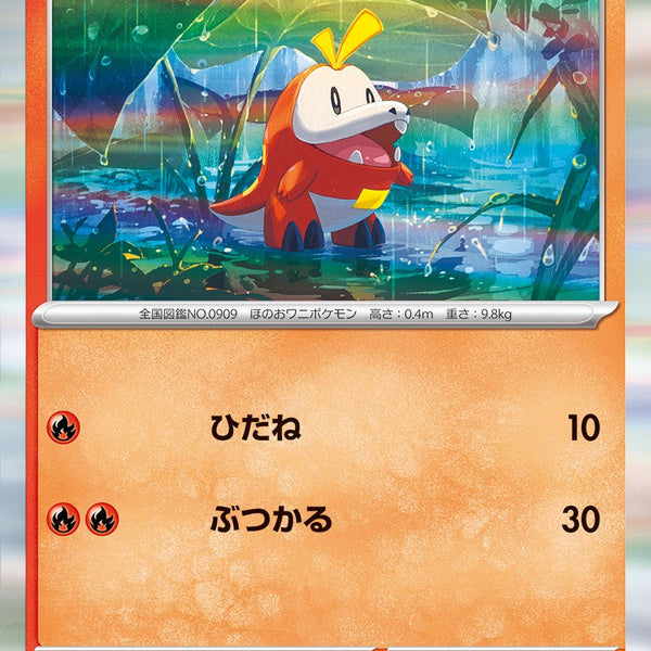 ポケットモンス タースターターセット テラスタル ラウドボーンex【30個】 スターターセット テラスタル 「ミュウツーex」「ラウドボーンex