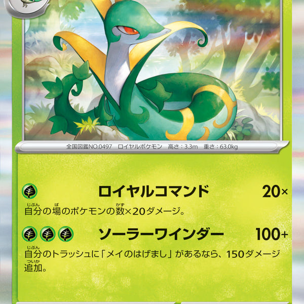 【超稀少】ポケモンカード ジャローダ PROMO 【極美品】 状態A】ジャローダ[006/080][R][M3]