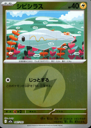 【状態B】シビシラス(タイプミラー)[047/193][-][M2a]