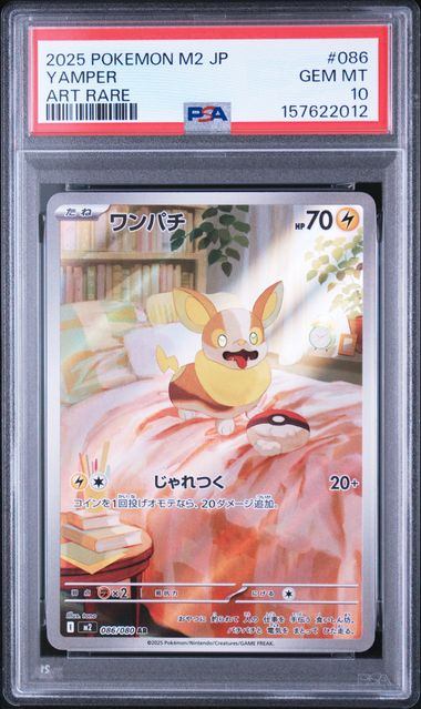 【PSA10鑑定品】ワンパチ[086/080][AR][M2]【157622012/実物写真掲載】