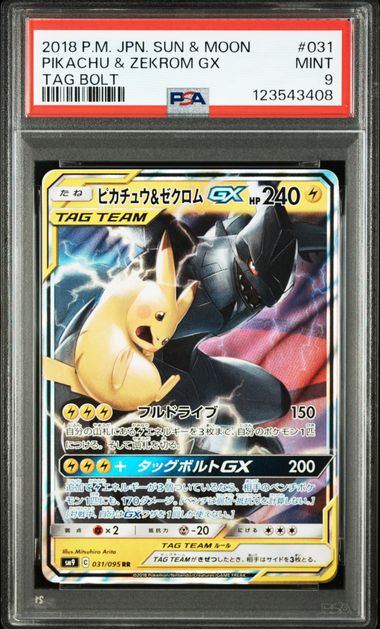 【PSA9鑑定品】ピカチュウ&ゼクロムGX[031/095][RR][SM9]【123543408/実物写真掲載】