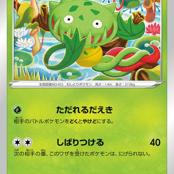 フシギバナ セット スペシャルデッキセットex フシギバナ・リザードン・カメックス