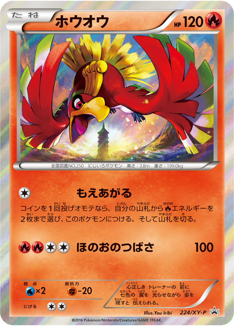 XY】XYシリーズ 全カード
