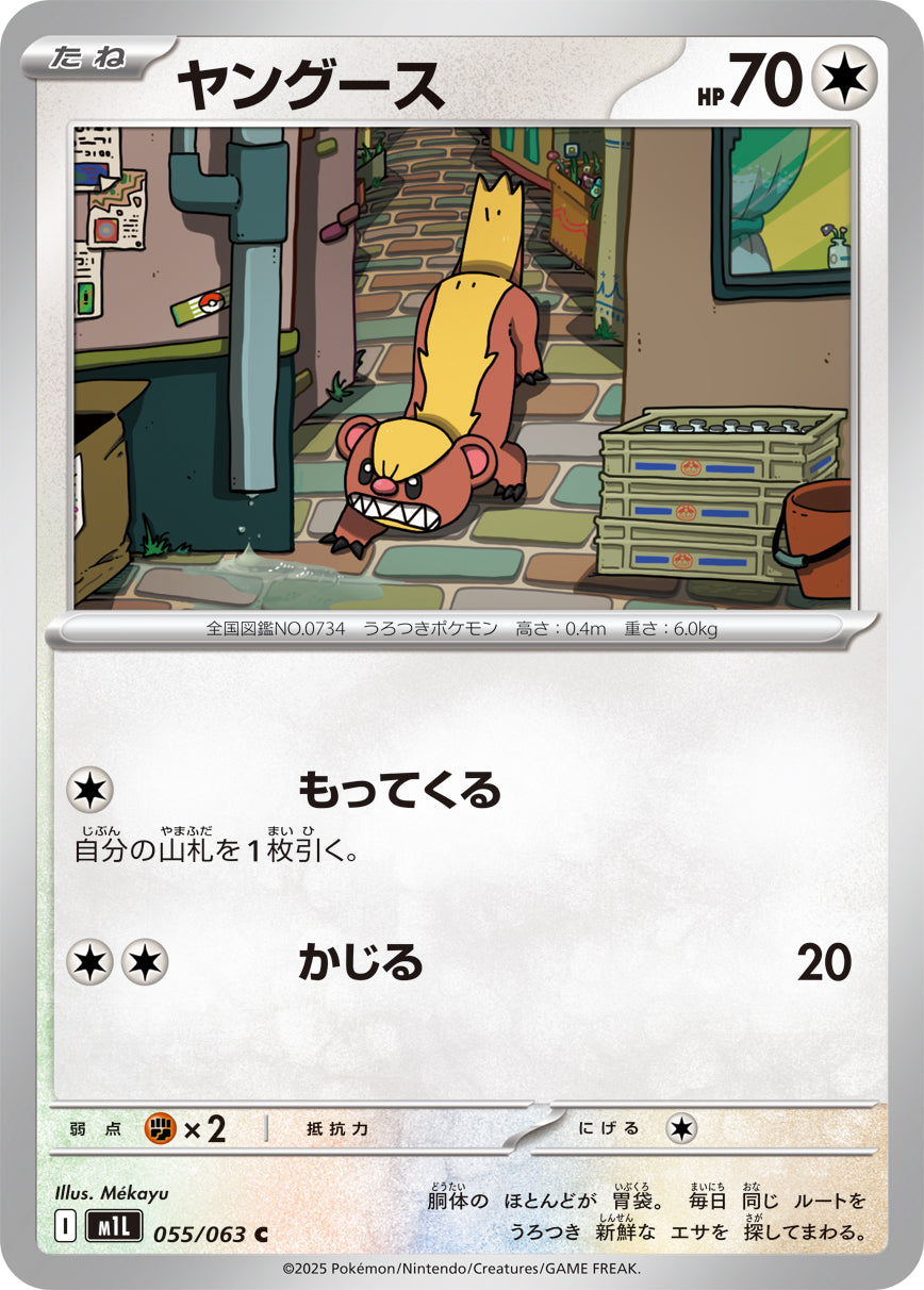 【状態A】ヤングース[055/063][C][M1L]
