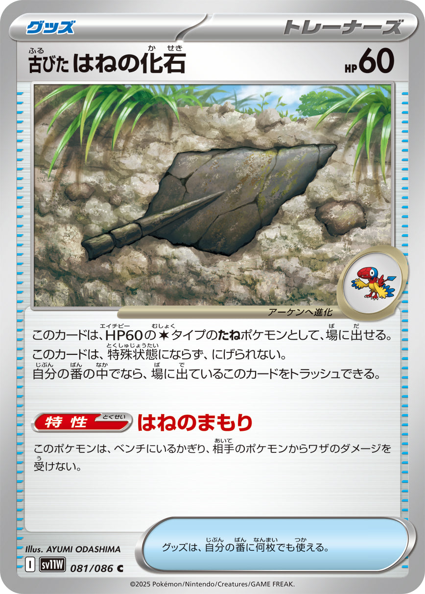 【状態B】古びたはねの化石[081/086][C][SV11W]