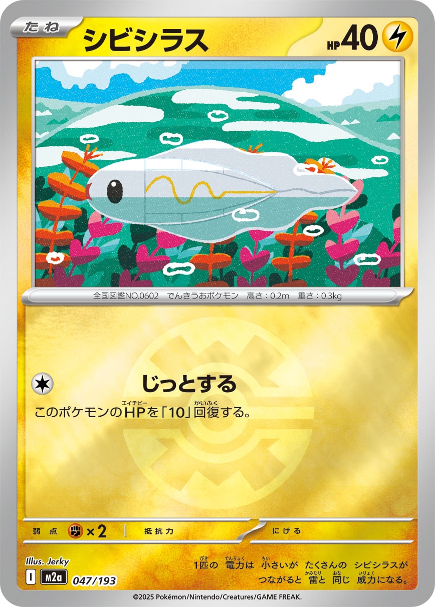 【状態A】シビシラス(ボールミラー)[047/193][-][M2a]