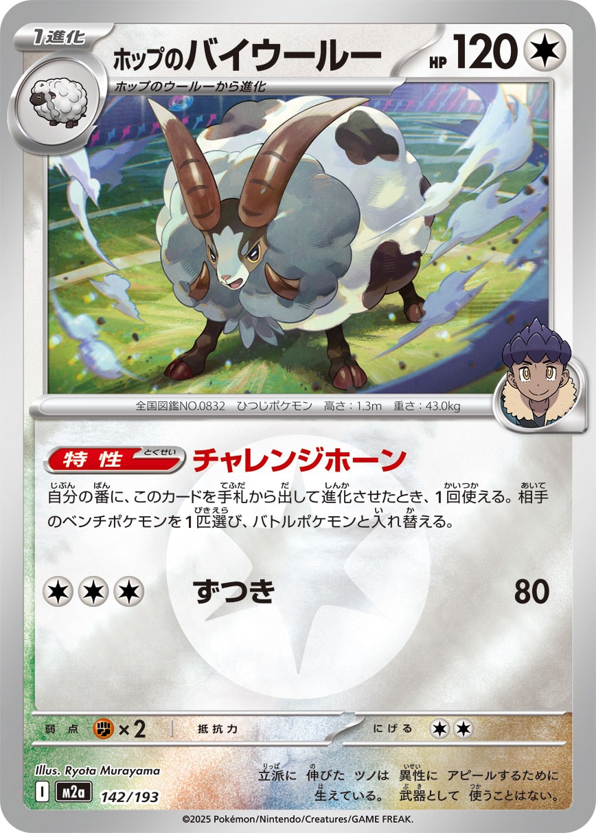 【状態B】ホップのバイウールー(タイプミラー)[142/193][-][M2a]
