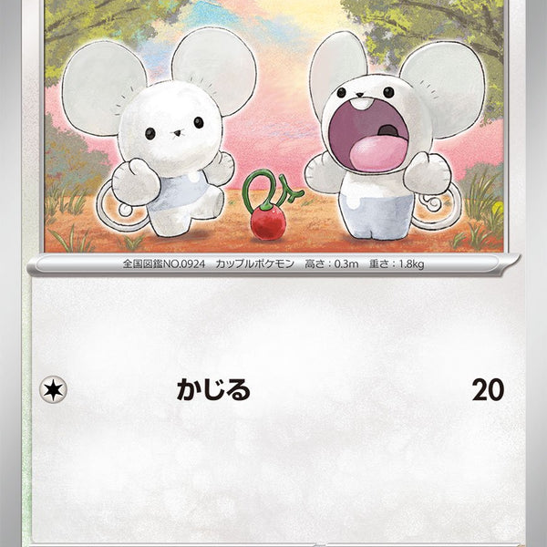 新品未開封 ポケモン福袋 3L メンズ6点セット ワッカネズミ ポケモン／キミにきめた！ポケモンゲットぬいぐるみ／ ワッカネズミ