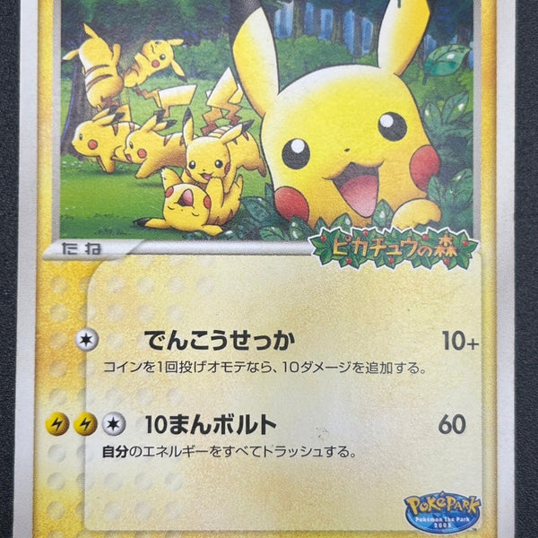 ポケモンカード　プロモ　ポケパーク　PT　ピカチュウ　色違い　アルセウス　超克 状態C】ポケパークのピカチュウ[043/PCG-P][P][プロモ]【実物写真掲載