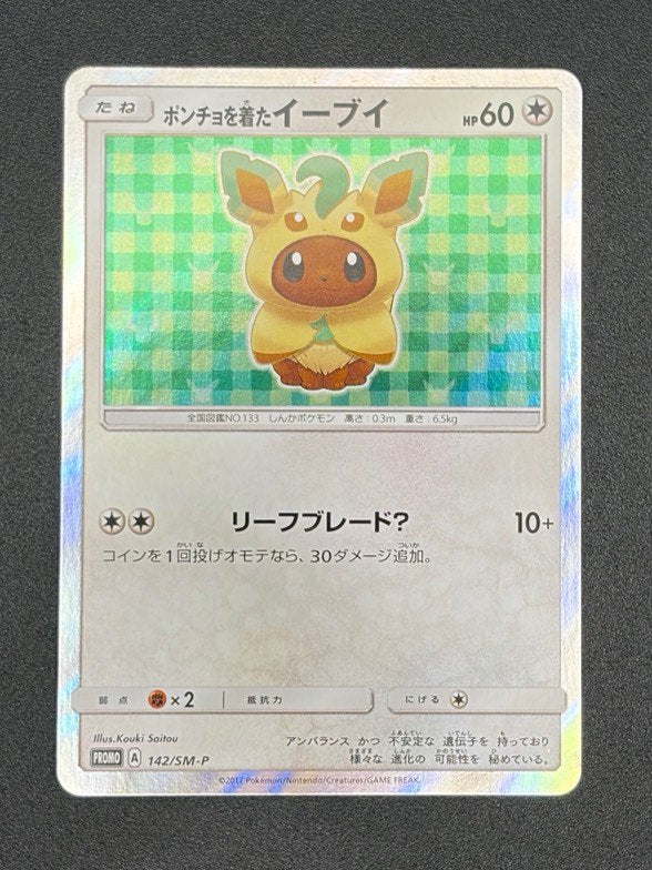 本日の入荷速報！