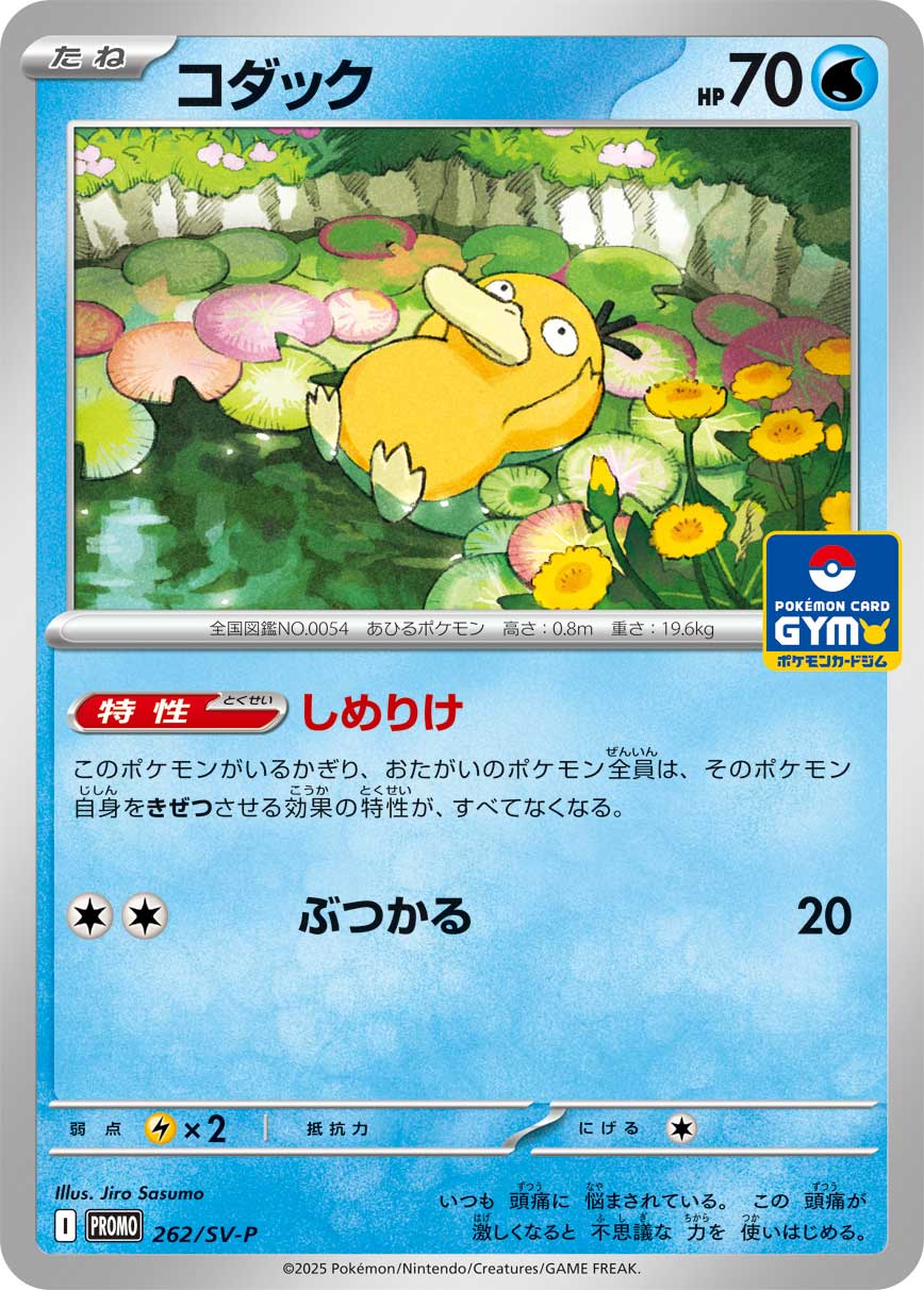 【SALE特価】コダック[262/SV-P][-][プロモ]